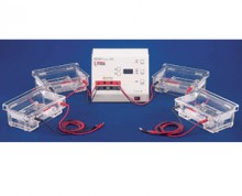 Electrophoresis Products